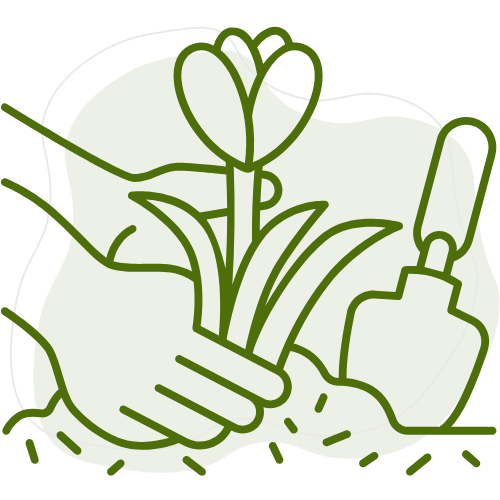 Création de massifs et plantations par Créa Entretien Jardin à Bédarieux