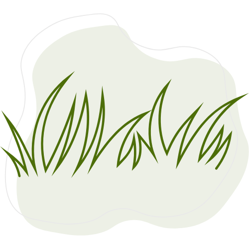 Création pelouse naturelle ou synthétique par Créa Entretien Jardin à Bédarieux