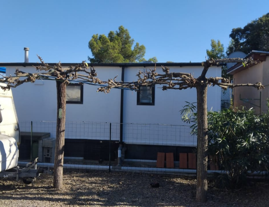Taille des arbres à Bédarieux par Créa'Entretien Jardin paysagiste