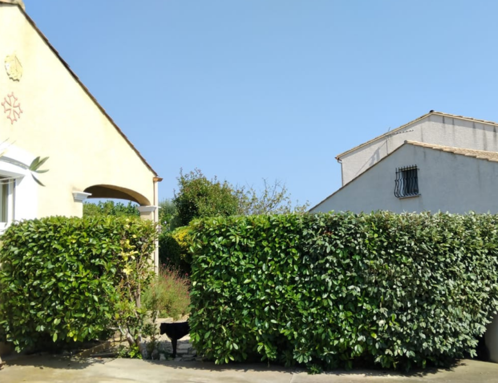 Taille de haie par un paysagiste pour l'entretien du jardin avec Créa'Entretien Jardin à Bédarieux