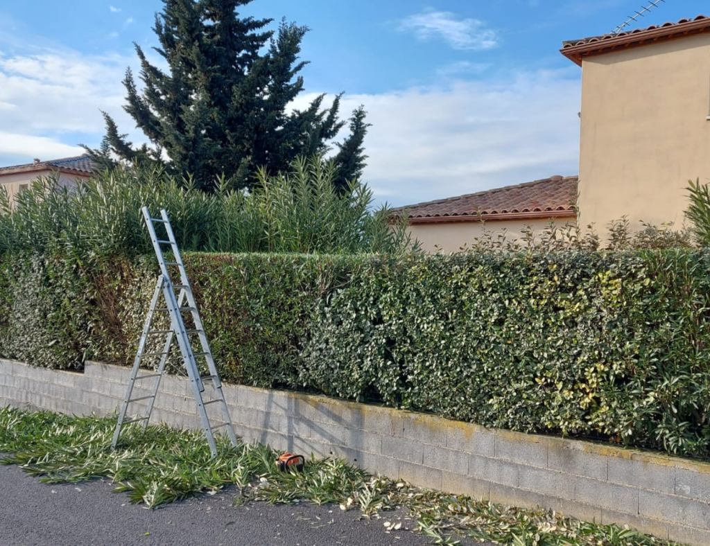 Entretien buissons et haies par Créa'Entretien Jardin paysagiste à Bédarieux