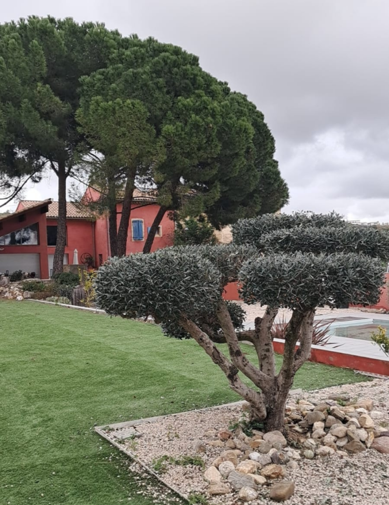 Profitez des avantages de l'entretien régulier de vos espaces verts avec Créa Entretien Jardin à Bédarieux