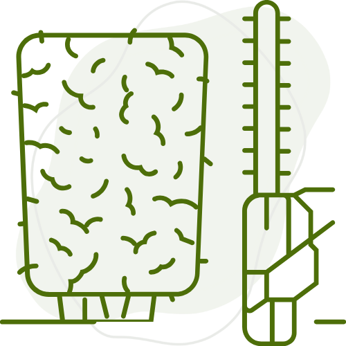 Taille des haies et arbustes par Créa Entretien Jardin à Bédarieux